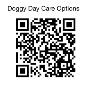 Kool K9 QR Payment Code