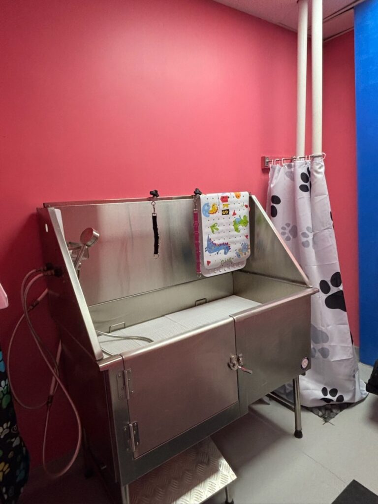 Kool K9 New Hampshire | Self Wash Service