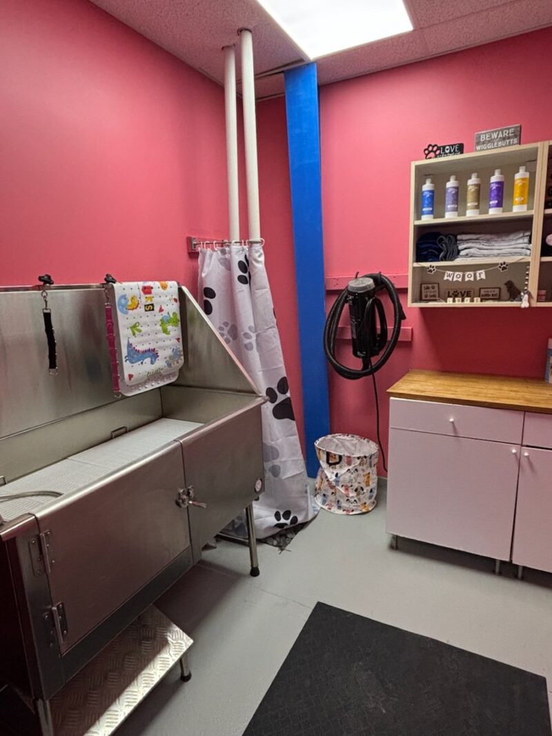 Kool K9 New Hampshire | Self Wash Service