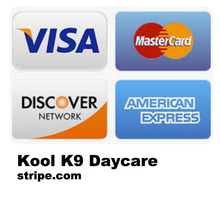 Pay by Credit Card 